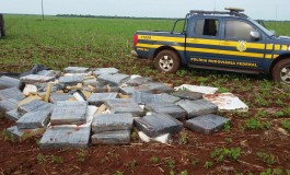 Polícia Civil desativa depósito de maconha em bairro de Dourados