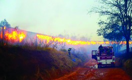 Trem com 57 vagões de celulose que saiu de Três Lagoas pega fogo