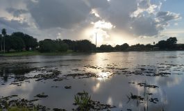 Homem é flagrado extraindo lenha no parque Lagoa Comprida