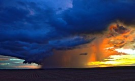 Efeitos do El Niño favorecem plantio da soja em MS