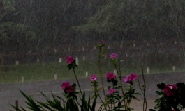 Meteorologia prevê tempo chuvoso durante o feriado em todo em MS