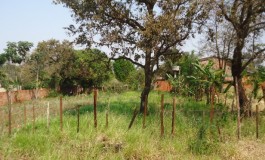 Governo do Estado leiloa nove terrenos avaliados entre R$ 30 mil e R$ 90 mil na Capital