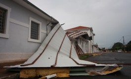 Chuva e vento provoca queda de árvores e destelha casa em Campo Grande