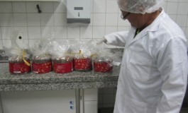 Agência de Metrologia fiscaliza produtos natalinos