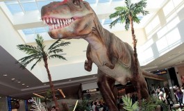 Dinossauros invadem Campo Grande