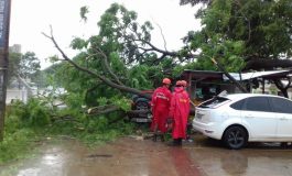 Temporal causa destruição em vários pontos da Capital