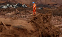 Vale deu remédio vencido para animais em Brumadinho, diz Ibama