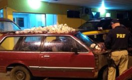 De Belina, traficante tenta cruzar MS para entregar maconha em SP