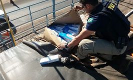 Carretas são apreendidas transportando 400 mil maços de cigarros do Paraguai