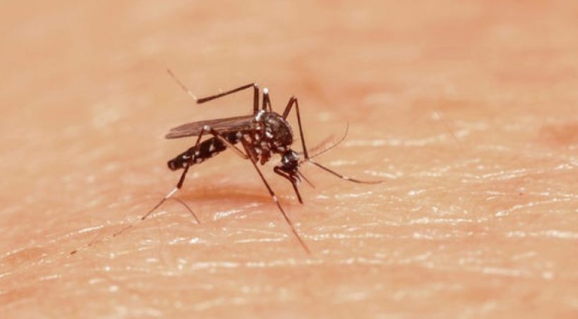 Mato Grosso do Sul tem primeira morte por dengue em 2019