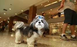 Centro comercial libera entrada de pet