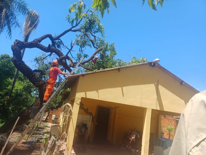 0367887d-624e-4b99-b041-8582530eb8bc